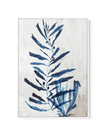 Watercolour Sea Kelp I | Framed Canvas-CANVAS-You can shop wall art online with Olive et Oriel for everything from abstract art to fun kids wall art. Our beautiful modern art prints and canvas art are available from large canvas prints to wall art paintings and our proudly Australian artwork collection offers only the highest quality framed large wall art and canvas art Australia - You can buy fashion photography prints or Hampton print posters and paintings on canvas from Olive et Oriel and hav