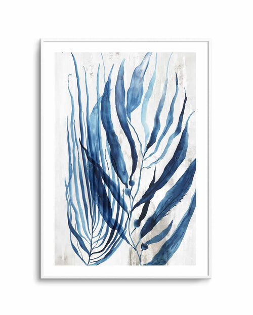 Watercolour Sea Kelp II Art Print-PRINT-Olive et Oriel-PI Creative-Buy-Australian-Art-Prints-Online-with-Olive-et-Oriel-Your-Artwork-Specialists-Austrailia-Decorate-With-Coastal-Photo-Wall-Art-Prints-From-Our-Beach-House-Artwork-Collection-Fine-Poster-and-Framed-Artwork
