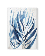 Watercolour Sea Kelp II | Framed Canvas-CANVAS-You can shop wall art online with Olive et Oriel for everything from abstract art to fun kids wall art. Our beautiful modern art prints and canvas art are available from large canvas prints to wall art paintings and our proudly Australian artwork collection offers only the highest quality framed large wall art and canvas art Australia - You can buy fashion photography prints or Hampton print posters and paintings on canvas from Olive et Oriel and ha