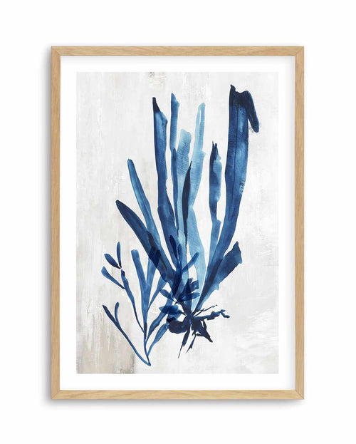 Watercolour Sea Kelp III Art Print-PRINT-Olive et Oriel-PI Creative-A5 | 5.8" x 8.3" | 14.8 x 21cm-Oak-With White Border-Buy-Australian-Art-Prints-Online-with-Olive-et-Oriel-Your-Artwork-Specialists-Austrailia-Decorate-With-Coastal-Photo-Wall-Art-Prints-From-Our-Beach-House-Artwork-Collection-Fine-Poster-and-Framed-Artwork