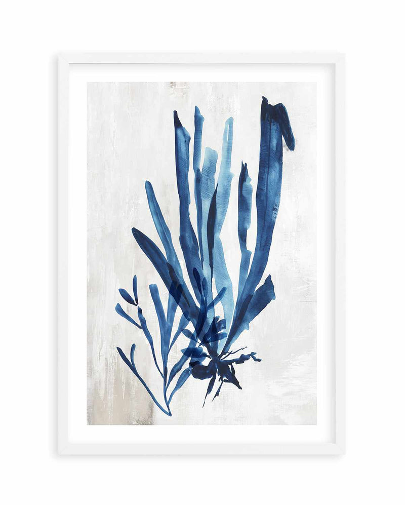 Watercolour Sea Kelp III Art Print-PRINT-Olive et Oriel-PI Creative-A5 | 5.8" x 8.3" | 14.8 x 21cm-White-With White Border-Buy-Australian-Art-Prints-Online-with-Olive-et-Oriel-Your-Artwork-Specialists-Austrailia-Decorate-With-Coastal-Photo-Wall-Art-Prints-From-Our-Beach-House-Artwork-Collection-Fine-Poster-and-Framed-Artwork