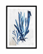 Watercolour Sea Kelp III Art Print-PRINT-Olive et Oriel-PI Creative-A5 | 5.8" x 8.3" | 14.8 x 21cm-Black-With White Border-Buy-Australian-Art-Prints-Online-with-Olive-et-Oriel-Your-Artwork-Specialists-Austrailia-Decorate-With-Coastal-Photo-Wall-Art-Prints-From-Our-Beach-House-Artwork-Collection-Fine-Poster-and-Framed-Artwork