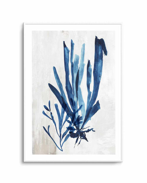 Watercolour Sea Kelp III Art Print-PRINT-Olive et Oriel-PI Creative-Buy-Australian-Art-Prints-Online-with-Olive-et-Oriel-Your-Artwork-Specialists-Austrailia-Decorate-With-Coastal-Photo-Wall-Art-Prints-From-Our-Beach-House-Artwork-Collection-Fine-Poster-and-Framed-Artwork