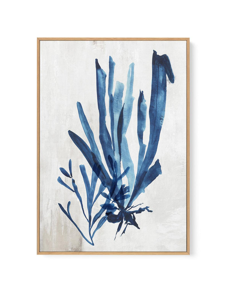 Watercolour Sea Kelp III | Framed Canvas-CANVAS-You can shop wall art online with Olive et Oriel for everything from abstract art to fun kids wall art. Our beautiful modern art prints and canvas art are available from large canvas prints to wall art paintings and our proudly Australian artwork collection offers only the highest quality framed large wall art and canvas art Australia - You can buy fashion photography prints or Hampton print posters and paintings on canvas from Olive et Oriel and h