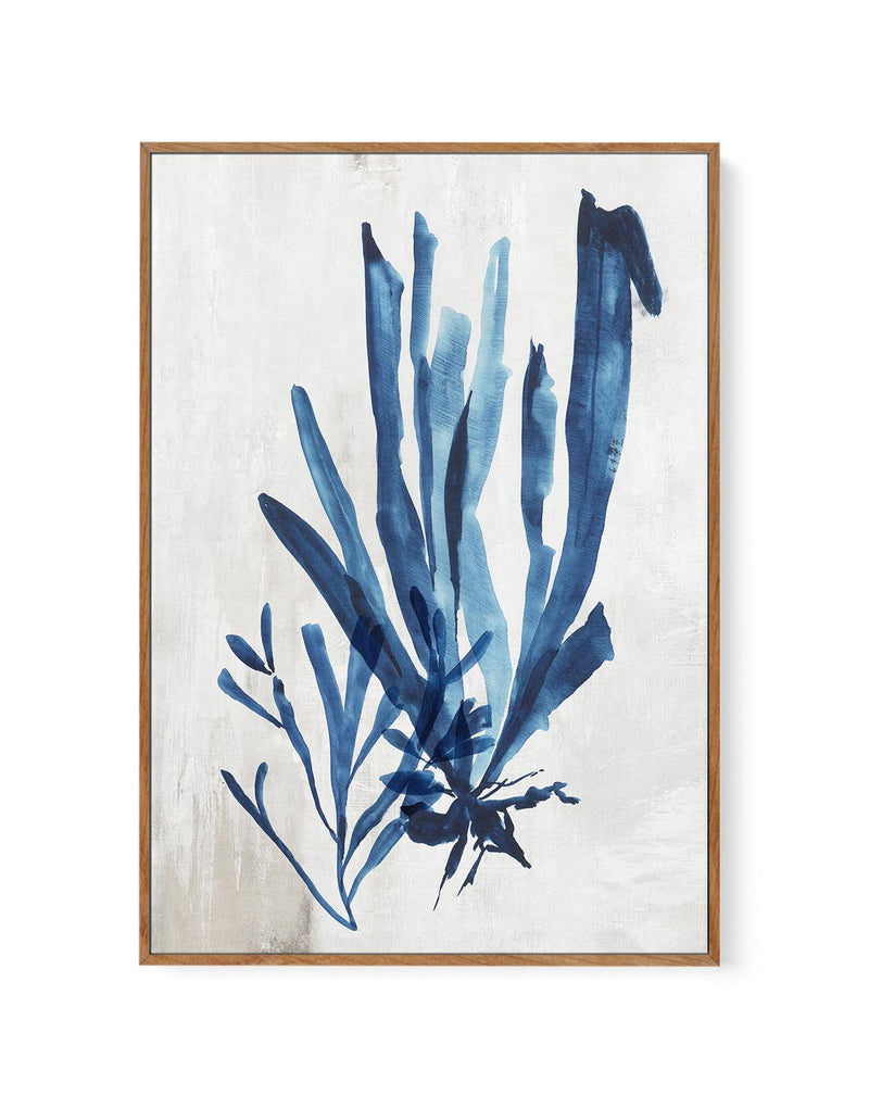Watercolour Sea Kelp III | Framed Canvas-CANVAS-You can shop wall art online with Olive et Oriel for everything from abstract art to fun kids wall art. Our beautiful modern art prints and canvas art are available from large canvas prints to wall art paintings and our proudly Australian artwork collection offers only the highest quality framed large wall art and canvas art Australia - You can buy fashion photography prints or Hampton print posters and paintings on canvas from Olive et Oriel and h