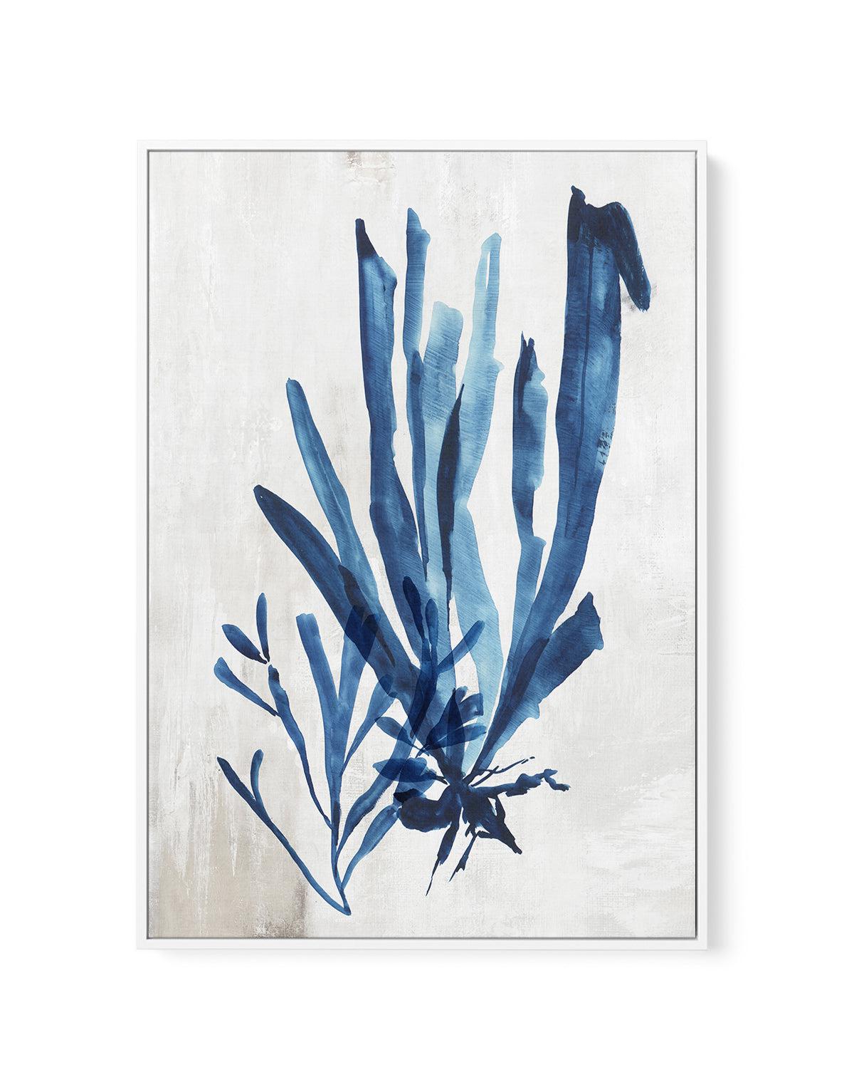 Watercolour Sea Kelp III | Framed Canvas-CANVAS-You can shop wall art online with Olive et Oriel for everything from abstract art to fun kids wall art. Our beautiful modern art prints and canvas art are available from large canvas prints to wall art paintings and our proudly Australian artwork collection offers only the highest quality framed large wall art and canvas art Australia - You can buy fashion photography prints or Hampton print posters and paintings on canvas from Olive et Oriel and h