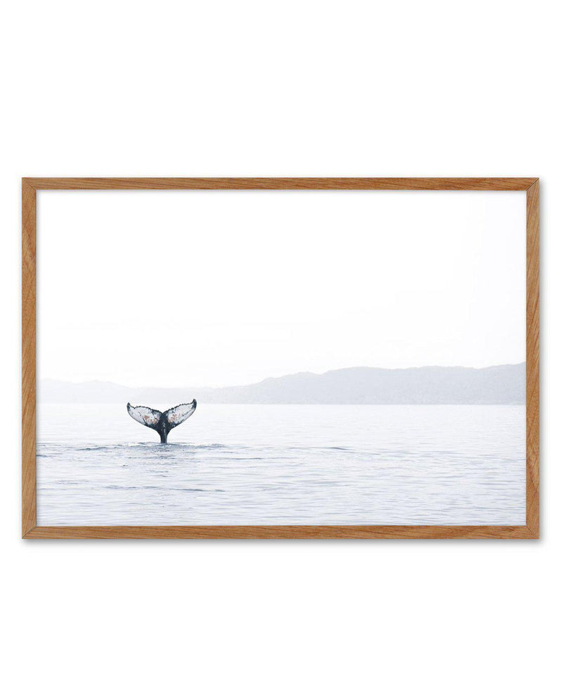 Whale Song Art Print-PRINT-Olive et Oriel-Olive et Oriel-50x70 cm | 19.6" x 27.5"-Walnut-With White Border-Buy-Australian-Art-Prints-Online-with-Olive-et-Oriel-Your-Artwork-Specialists-Austrailia-Decorate-With-Coastal-Photo-Wall-Art-Prints-From-Our-Beach-House-Artwork-Collection-Fine-Poster-and-Framed-Artwork
