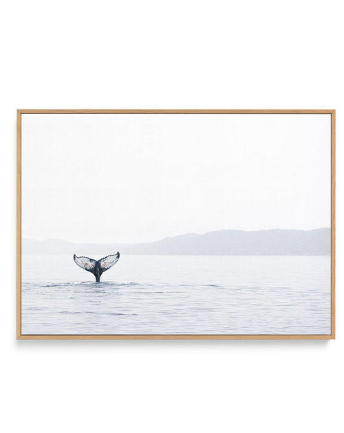 Whale Song | Framed Canvas-CANVAS-You can shop wall art online with Olive et Oriel for everything from abstract art to fun kids wall art. Our beautiful modern art prints and canvas art are available from large canvas prints to wall art paintings and our proudly Australian artwork collection offers only the highest quality framed large wall art and canvas art Australia - You can buy fashion photography prints or Hampton print posters and paintings on canvas from Olive et Oriel and have them deliv