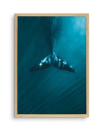 Whale Tail Blue | PT Art Print-PRINT-Olive et Oriel-Olive et Oriel-A5 | 5.8" x 8.3" | 14.8 x 21cm-Oak-With White Border-Buy-Australian-Art-Prints-Online-with-Olive-et-Oriel-Your-Artwork-Specialists-Austrailia-Decorate-With-Coastal-Photo-Wall-Art-Prints-From-Our-Beach-House-Artwork-Collection-Fine-Poster-and-Framed-Artwork