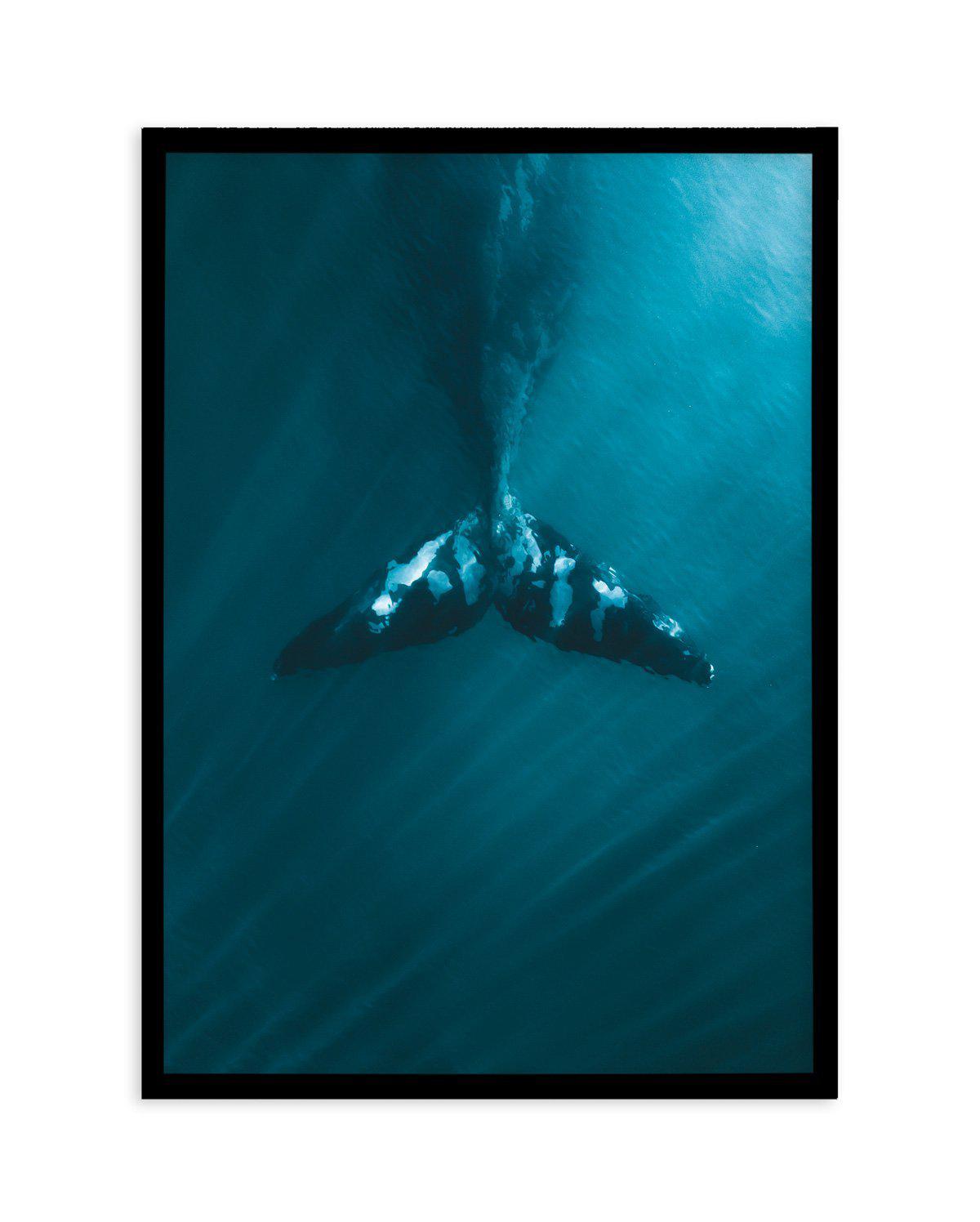 Whale Tail Blue | PT Art Print-PRINT-Olive et Oriel-Olive et Oriel-A5 | 5.8" x 8.3" | 14.8 x 21cm-Black-With White Border-Buy-Australian-Art-Prints-Online-with-Olive-et-Oriel-Your-Artwork-Specialists-Austrailia-Decorate-With-Coastal-Photo-Wall-Art-Prints-From-Our-Beach-House-Artwork-Collection-Fine-Poster-and-Framed-Artwork