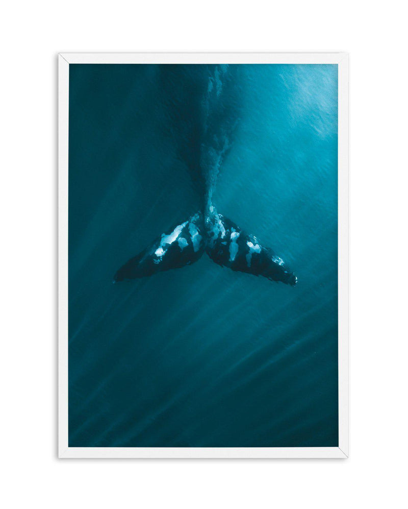 Whale Tail Blue | PT Art Print-PRINT-Olive et Oriel-Olive et Oriel-A5 | 5.8" x 8.3" | 14.8 x 21cm-White-With White Border-Buy-Australian-Art-Prints-Online-with-Olive-et-Oriel-Your-Artwork-Specialists-Austrailia-Decorate-With-Coastal-Photo-Wall-Art-Prints-From-Our-Beach-House-Artwork-Collection-Fine-Poster-and-Framed-Artwork
