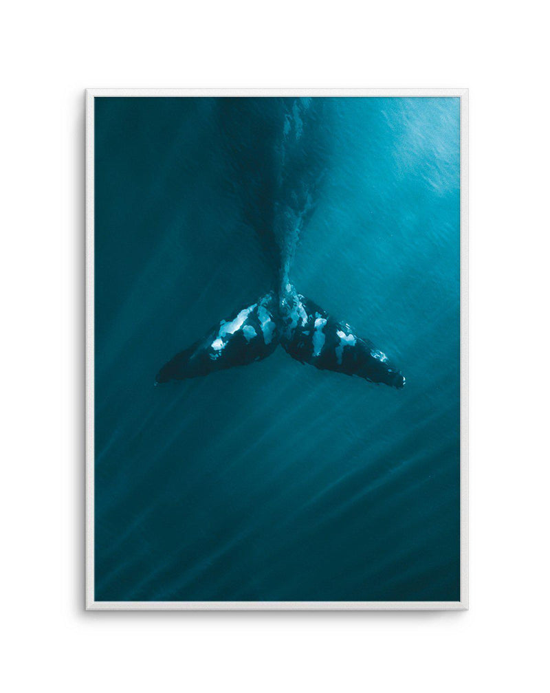 Whale Tail Blue | PT Art Print-PRINT-Olive et Oriel-Olive et Oriel-A5 | 5.8" x 8.3" | 14.8 x 21cm-Unframed Art Print-With White Border-Buy-Australian-Art-Prints-Online-with-Olive-et-Oriel-Your-Artwork-Specialists-Austrailia-Decorate-With-Coastal-Photo-Wall-Art-Prints-From-Our-Beach-House-Artwork-Collection-Fine-Poster-and-Framed-Artwork