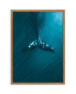 Whale Tail Blue | PT Art Print-PRINT-Olive et Oriel-Olive et Oriel-50x70 cm | 19.6" x 27.5"-Walnut-With White Border-Buy-Australian-Art-Prints-Online-with-Olive-et-Oriel-Your-Artwork-Specialists-Austrailia-Decorate-With-Coastal-Photo-Wall-Art-Prints-From-Our-Beach-House-Artwork-Collection-Fine-Poster-and-Framed-Artwork