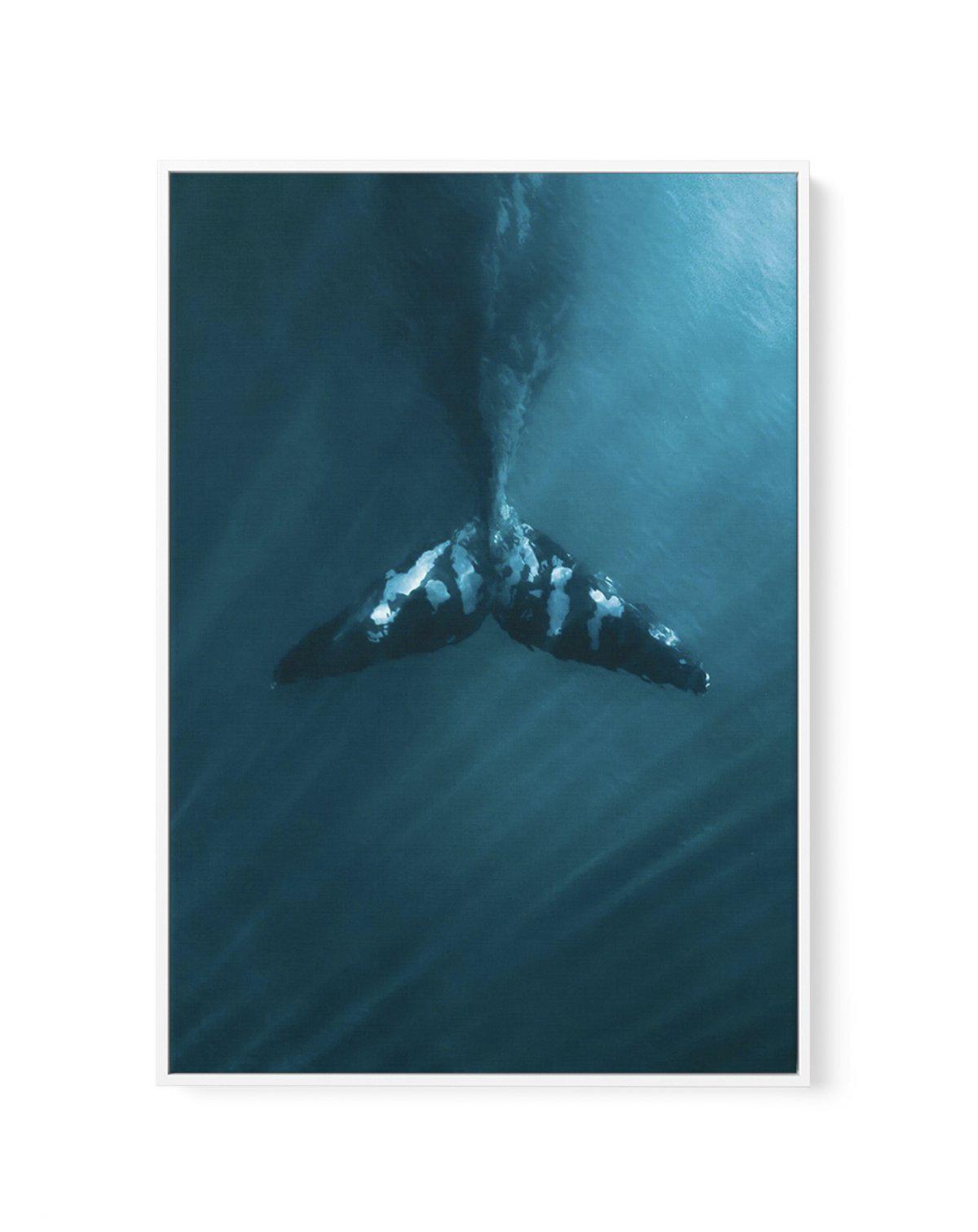 Whale Tail Blue | PT | Framed Canvas-CANVAS-You can shop wall art online with Olive et Oriel for everything from abstract art to fun kids wall art. Our beautiful modern art prints and canvas art are available from large canvas prints to wall art paintings and our proudly Australian artwork collection offers only the highest quality framed large wall art and canvas art Australia - You can buy fashion photography prints or Hampton print posters and paintings on canvas from Olive et Oriel and have 