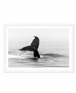 Whale Tail B&W | LS Art Print-PRINT-Olive et Oriel-Olive et Oriel-A5 | 5.8" x 8.3" | 14.8 x 21cm-White-With White Border-Buy-Australian-Art-Prints-Online-with-Olive-et-Oriel-Your-Artwork-Specialists-Austrailia-Decorate-With-Coastal-Photo-Wall-Art-Prints-From-Our-Beach-House-Artwork-Collection-Fine-Poster-and-Framed-Artwork