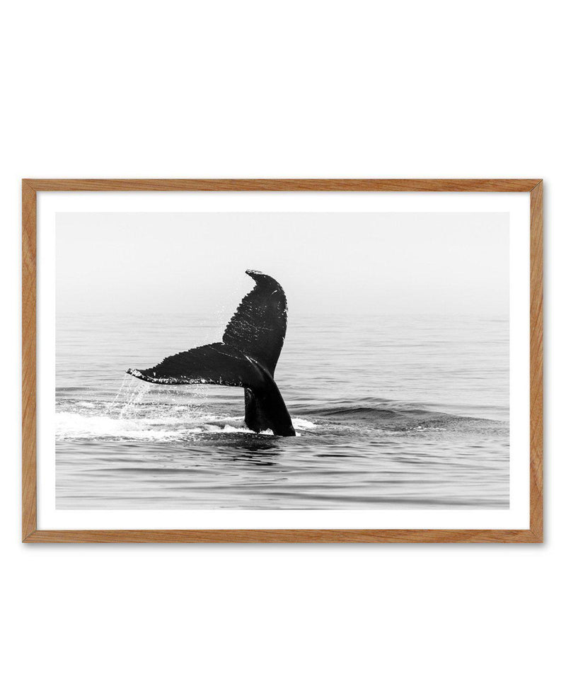 Whale Tail B&W | LS Art Print-PRINT-Olive et Oriel-Olive et Oriel-50x70 cm | 19.6" x 27.5"-Walnut-With White Border-Buy-Australian-Art-Prints-Online-with-Olive-et-Oriel-Your-Artwork-Specialists-Austrailia-Decorate-With-Coastal-Photo-Wall-Art-Prints-From-Our-Beach-House-Artwork-Collection-Fine-Poster-and-Framed-Artwork