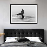 Whale Tail B&W | LS Art Print-PRINT-Olive et Oriel-Olive et Oriel-Buy-Australian-Art-Prints-Online-with-Olive-et-Oriel-Your-Artwork-Specialists-Austrailia-Decorate-With-Coastal-Photo-Wall-Art-Prints-From-Our-Beach-House-Artwork-Collection-Fine-Poster-and-Framed-Artwork