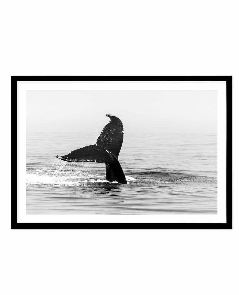 Whale Tail B&W | LS Art Print-PRINT-Olive et Oriel-Olive et Oriel-A5 | 5.8" x 8.3" | 14.8 x 21cm-Black-With White Border-Buy-Australian-Art-Prints-Online-with-Olive-et-Oriel-Your-Artwork-Specialists-Austrailia-Decorate-With-Coastal-Photo-Wall-Art-Prints-From-Our-Beach-House-Artwork-Collection-Fine-Poster-and-Framed-Artwork