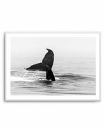 Whale Tail B&W | LS Art Print-PRINT-Olive et Oriel-Olive et Oriel-A5 | 5.8" x 8.3" | 14.8 x 21cm-Unframed Art Print-With White Border-Buy-Australian-Art-Prints-Online-with-Olive-et-Oriel-Your-Artwork-Specialists-Austrailia-Decorate-With-Coastal-Photo-Wall-Art-Prints-From-Our-Beach-House-Artwork-Collection-Fine-Poster-and-Framed-Artwork