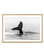 Whale Tail B&W | LS Art Print-PRINT-Olive et Oriel-Olive et Oriel-A5 | 5.8" x 8.3" | 14.8 x 21cm-Oak-With White Border-Buy-Australian-Art-Prints-Online-with-Olive-et-Oriel-Your-Artwork-Specialists-Austrailia-Decorate-With-Coastal-Photo-Wall-Art-Prints-From-Our-Beach-House-Artwork-Collection-Fine-Poster-and-Framed-Artwork