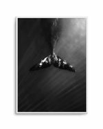 Whale Tail B&W | PT Art Print-PRINT-Olive et Oriel-Olive et Oriel-A5 | 5.8" x 8.3" | 14.8 x 21cm-Unframed Art Print-With White Border-Buy-Australian-Art-Prints-Online-with-Olive-et-Oriel-Your-Artwork-Specialists-Austrailia-Decorate-With-Coastal-Photo-Wall-Art-Prints-From-Our-Beach-House-Artwork-Collection-Fine-Poster-and-Framed-Artwork