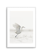 White Bird in Flight Art Print-PRINT-Olive et Oriel-Olive et Oriel-A5 | 5.8" x 8.3" | 14.8 x 21cm-Unframed Art Print-With White Border-Buy-Australian-Art-Prints-Online-with-Olive-et-Oriel-Your-Artwork-Specialists-Austrailia-Decorate-With-Coastal-Photo-Wall-Art-Prints-From-Our-Beach-House-Artwork-Collection-Fine-Poster-and-Framed-Artwork