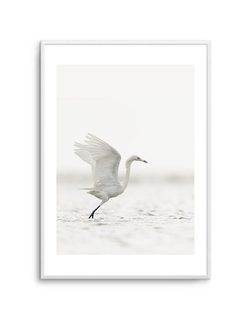 White Bird in Flight Art Print-PRINT-Olive et Oriel-Olive et Oriel-A5 | 5.8" x 8.3" | 14.8 x 21cm-Unframed Art Print-With White Border-Buy-Australian-Art-Prints-Online-with-Olive-et-Oriel-Your-Artwork-Specialists-Austrailia-Decorate-With-Coastal-Photo-Wall-Art-Prints-From-Our-Beach-House-Artwork-Collection-Fine-Poster-and-Framed-Artwork