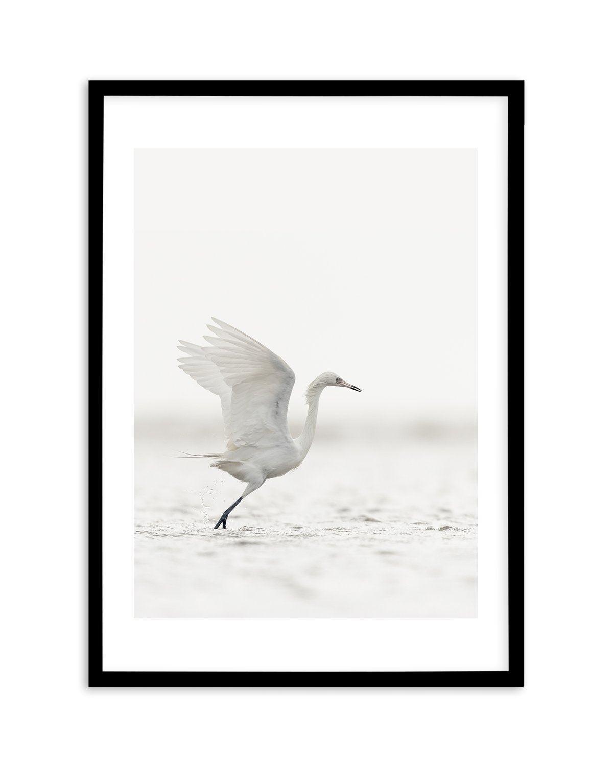 White Bird in Flight Art Print-PRINT-Olive et Oriel-Olive et Oriel-A5 | 5.8" x 8.3" | 14.8 x 21cm-Black-With White Border-Buy-Australian-Art-Prints-Online-with-Olive-et-Oriel-Your-Artwork-Specialists-Austrailia-Decorate-With-Coastal-Photo-Wall-Art-Prints-From-Our-Beach-House-Artwork-Collection-Fine-Poster-and-Framed-Artwork