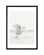 White Bird in Flight Art Print-PRINT-Olive et Oriel-Olive et Oriel-A5 | 5.8" x 8.3" | 14.8 x 21cm-Black-With White Border-Buy-Australian-Art-Prints-Online-with-Olive-et-Oriel-Your-Artwork-Specialists-Austrailia-Decorate-With-Coastal-Photo-Wall-Art-Prints-From-Our-Beach-House-Artwork-Collection-Fine-Poster-and-Framed-Artwork