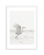 White Bird in Flight Art Print-PRINT-Olive et Oriel-Olive et Oriel-A5 | 5.8" x 8.3" | 14.8 x 21cm-White-With White Border-Buy-Australian-Art-Prints-Online-with-Olive-et-Oriel-Your-Artwork-Specialists-Austrailia-Decorate-With-Coastal-Photo-Wall-Art-Prints-From-Our-Beach-House-Artwork-Collection-Fine-Poster-and-Framed-Artwork