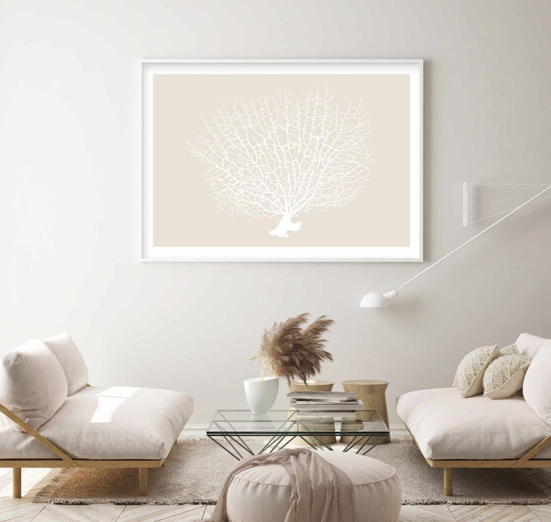 White Coral On Beige Art Print-PRINT-Olive et Oriel-Olive et Oriel-Buy-Australian-Art-Prints-Online-with-Olive-et-Oriel-Your-Artwork-Specialists-Austrailia-Decorate-With-Coastal-Photo-Wall-Art-Prints-From-Our-Beach-House-Artwork-Collection-Fine-Poster-and-Framed-Artwork