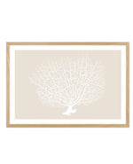 White Coral On Beige Art Print-PRINT-Olive et Oriel-Olive et Oriel-A5 | 5.8" x 8.3" | 14.8 x 21cm-Oak-With White Border-Buy-Australian-Art-Prints-Online-with-Olive-et-Oriel-Your-Artwork-Specialists-Austrailia-Decorate-With-Coastal-Photo-Wall-Art-Prints-From-Our-Beach-House-Artwork-Collection-Fine-Poster-and-Framed-Artwork