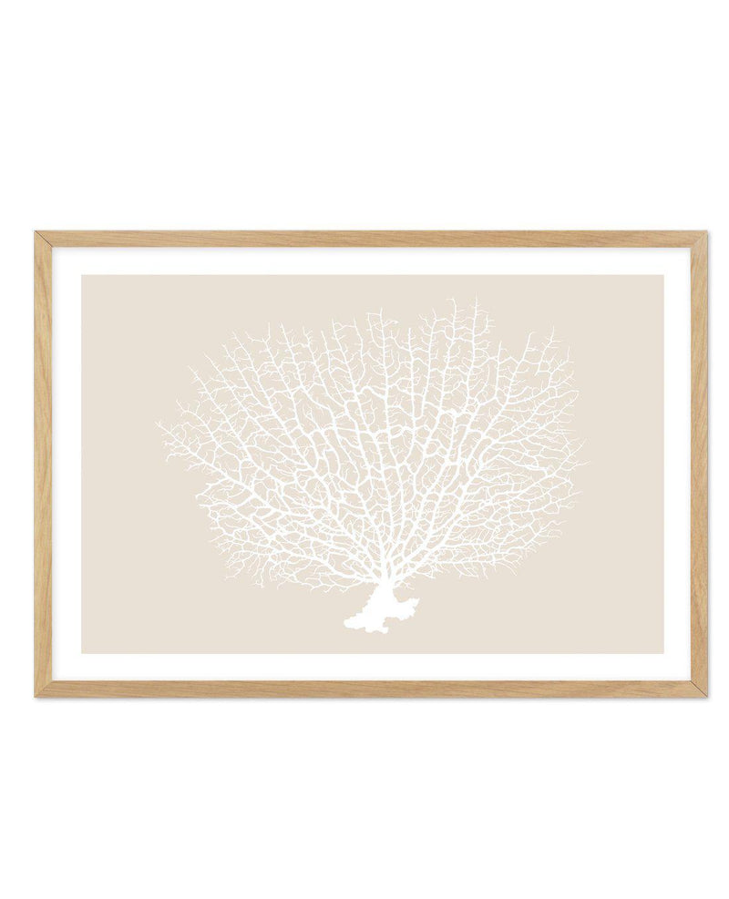 White Coral On Beige Art Print-PRINT-Olive et Oriel-Olive et Oriel-A5 | 5.8" x 8.3" | 14.8 x 21cm-Oak-With White Border-Buy-Australian-Art-Prints-Online-with-Olive-et-Oriel-Your-Artwork-Specialists-Austrailia-Decorate-With-Coastal-Photo-Wall-Art-Prints-From-Our-Beach-House-Artwork-Collection-Fine-Poster-and-Framed-Artwork