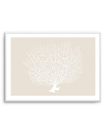 White Coral On Beige Art Print-PRINT-Olive et Oriel-Olive et Oriel-A5 | 5.8" x 8.3" | 14.8 x 21cm-Unframed Art Print-With White Border-Buy-Australian-Art-Prints-Online-with-Olive-et-Oriel-Your-Artwork-Specialists-Austrailia-Decorate-With-Coastal-Photo-Wall-Art-Prints-From-Our-Beach-House-Artwork-Collection-Fine-Poster-and-Framed-Artwork