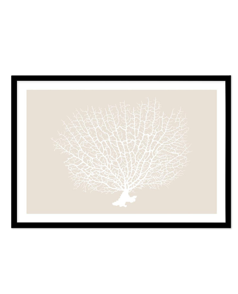 White Coral On Beige Art Print-PRINT-Olive et Oriel-Olive et Oriel-A5 | 5.8" x 8.3" | 14.8 x 21cm-Black-With White Border-Buy-Australian-Art-Prints-Online-with-Olive-et-Oriel-Your-Artwork-Specialists-Austrailia-Decorate-With-Coastal-Photo-Wall-Art-Prints-From-Our-Beach-House-Artwork-Collection-Fine-Poster-and-Framed-Artwork