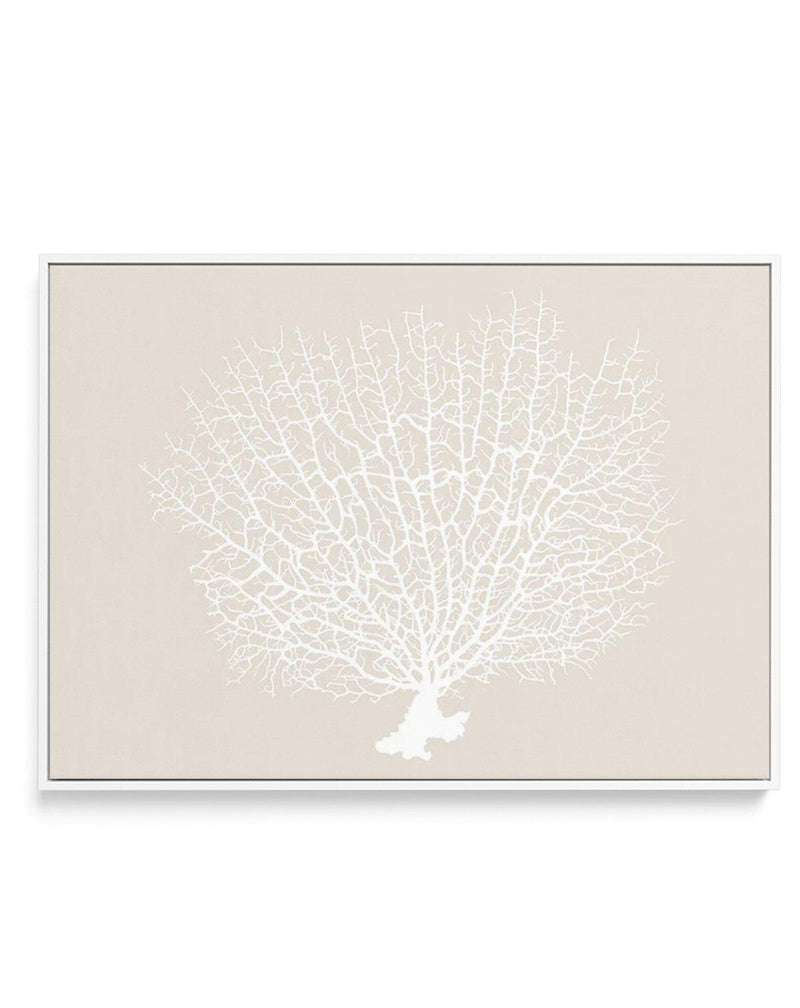 White Coral On Beige | Framed Canvas-CANVAS-You can shop wall art online with Olive et Oriel for everything from abstract art to fun kids wall art. Our beautiful modern art prints and canvas art are available from large canvas prints to wall art paintings and our proudly Australian artwork collection offers only the highest quality framed large wall art and canvas art Australia - You can buy fashion photography prints or Hampton print posters and paintings on canvas from Olive et Oriel and have 