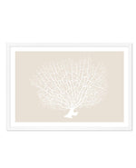 White Coral On Beige Art Print-PRINT-Olive et Oriel-Olive et Oriel-A5 | 5.8" x 8.3" | 14.8 x 21cm-White-With White Border-Buy-Australian-Art-Prints-Online-with-Olive-et-Oriel-Your-Artwork-Specialists-Austrailia-Decorate-With-Coastal-Photo-Wall-Art-Prints-From-Our-Beach-House-Artwork-Collection-Fine-Poster-and-Framed-Artwork