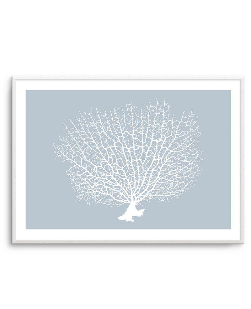 White Coral On Blue Art Print-PRINT-Olive et Oriel-Olive et Oriel-A5 | 5.8" x 8.3" | 14.8 x 21cm-Unframed Art Print-With White Border-Buy-Australian-Art-Prints-Online-with-Olive-et-Oriel-Your-Artwork-Specialists-Austrailia-Decorate-With-Coastal-Photo-Wall-Art-Prints-From-Our-Beach-House-Artwork-Collection-Fine-Poster-and-Framed-Artwork