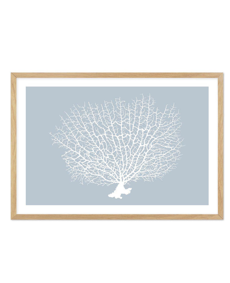 White Coral On Blue Art Print-PRINT-Olive et Oriel-Olive et Oriel-A5 | 5.8" x 8.3" | 14.8 x 21cm-Oak-With White Border-Buy-Australian-Art-Prints-Online-with-Olive-et-Oriel-Your-Artwork-Specialists-Austrailia-Decorate-With-Coastal-Photo-Wall-Art-Prints-From-Our-Beach-House-Artwork-Collection-Fine-Poster-and-Framed-Artwork
