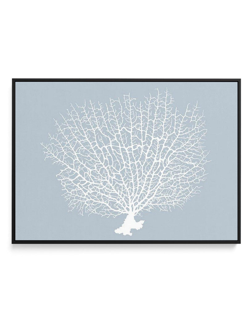White Coral On Blue | Framed Canvas-CANVAS-You can shop wall art online with Olive et Oriel for everything from abstract art to fun kids wall art. Our beautiful modern art prints and canvas art are available from large canvas prints to wall art paintings and our proudly Australian artwork collection offers only the highest quality framed large wall art and canvas art Australia - You can buy fashion photography prints or Hampton print posters and paintings on canvas from Olive et Oriel and have t