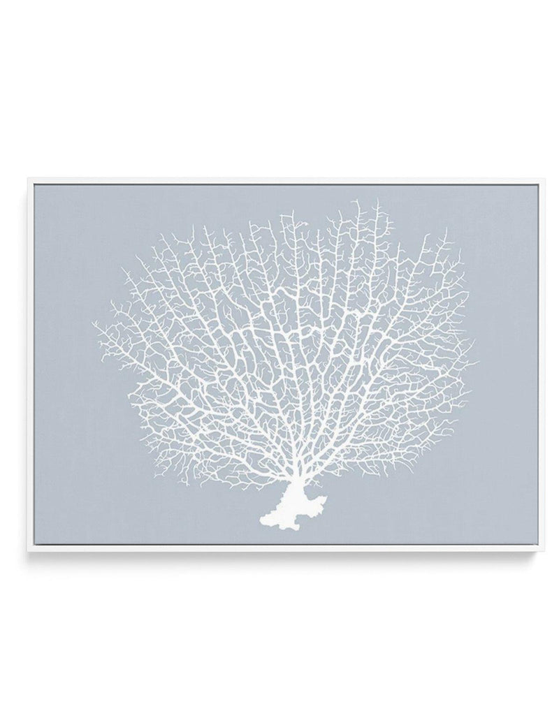 White Coral On Blue | Framed Canvas-CANVAS-You can shop wall art online with Olive et Oriel for everything from abstract art to fun kids wall art. Our beautiful modern art prints and canvas art are available from large canvas prints to wall art paintings and our proudly Australian artwork collection offers only the highest quality framed large wall art and canvas art Australia - You can buy fashion photography prints or Hampton print posters and paintings on canvas from Olive et Oriel and have t
