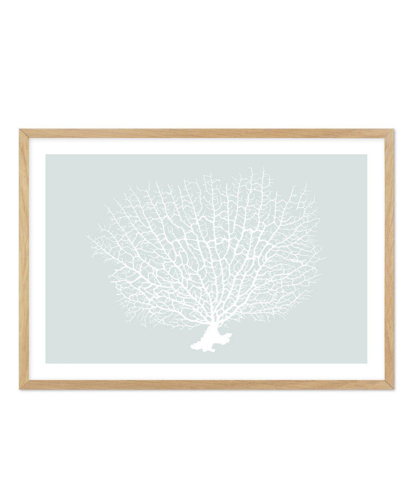 White Coral On Mint Art Print-PRINT-Olive et Oriel-Olive et Oriel-A5 | 5.8" x 8.3" | 14.8 x 21cm-Oak-With White Border-Buy-Australian-Art-Prints-Online-with-Olive-et-Oriel-Your-Artwork-Specialists-Austrailia-Decorate-With-Coastal-Photo-Wall-Art-Prints-From-Our-Beach-House-Artwork-Collection-Fine-Poster-and-Framed-Artwork