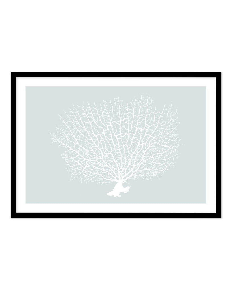 White Coral On Mint Art Print-PRINT-Olive et Oriel-Olive et Oriel-A5 | 5.8" x 8.3" | 14.8 x 21cm-Black-With White Border-Buy-Australian-Art-Prints-Online-with-Olive-et-Oriel-Your-Artwork-Specialists-Austrailia-Decorate-With-Coastal-Photo-Wall-Art-Prints-From-Our-Beach-House-Artwork-Collection-Fine-Poster-and-Framed-Artwork