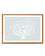 White Coral On Mint Art Print-PRINT-Olive et Oriel-Olive et Oriel-50x70 cm | 19.6" x 27.5"-Walnut-With White Border-Buy-Australian-Art-Prints-Online-with-Olive-et-Oriel-Your-Artwork-Specialists-Austrailia-Decorate-With-Coastal-Photo-Wall-Art-Prints-From-Our-Beach-House-Artwork-Collection-Fine-Poster-and-Framed-Artwork