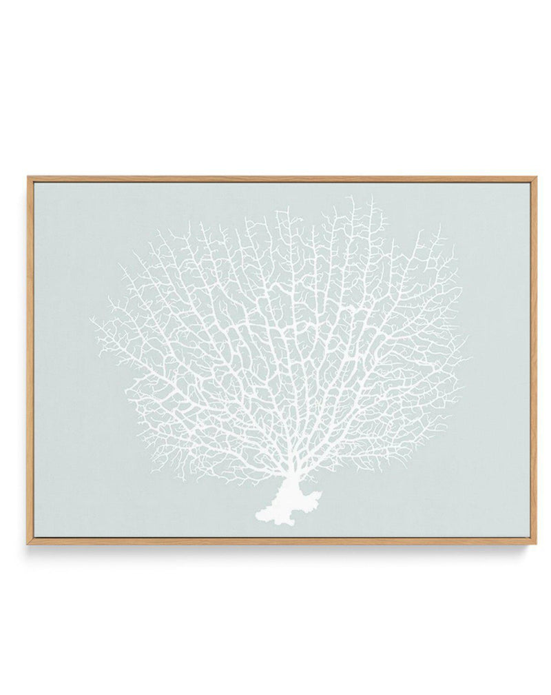 White Coral On Mint | Framed Canvas-CANVAS-You can shop wall art online with Olive et Oriel for everything from abstract art to fun kids wall art. Our beautiful modern art prints and canvas art are available from large canvas prints to wall art paintings and our proudly Australian artwork collection offers only the highest quality framed large wall art and canvas art Australia - You can buy fashion photography prints or Hampton print posters and paintings on canvas from Olive et Oriel and have t