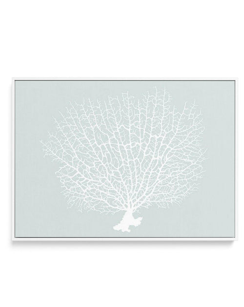 White Coral On Mint | Framed Canvas-CANVAS-You can shop wall art online with Olive et Oriel for everything from abstract art to fun kids wall art. Our beautiful modern art prints and canvas art are available from large canvas prints to wall art paintings and our proudly Australian artwork collection offers only the highest quality framed large wall art and canvas art Australia - You can buy fashion photography prints or Hampton print posters and paintings on canvas from Olive et Oriel and have t