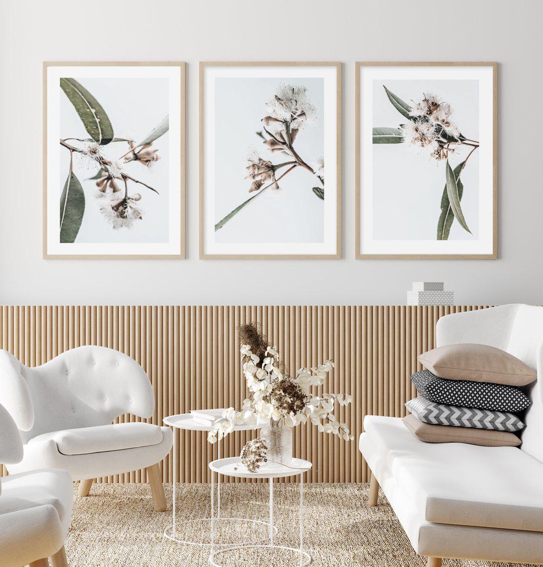 White Eucalyptus I Art Print-PRINT-Olive et Oriel-Olive et Oriel-Buy-Australian-Art-Prints-Online-with-Olive-et-Oriel-Your-Artwork-Specialists-Austrailia-Decorate-With-Coastal-Photo-Wall-Art-Prints-From-Our-Beach-House-Artwork-Collection-Fine-Poster-and-Framed-Artwork