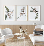 White Eucalyptus I Art Print-PRINT-Olive et Oriel-Olive et Oriel-Buy-Australian-Art-Prints-Online-with-Olive-et-Oriel-Your-Artwork-Specialists-Austrailia-Decorate-With-Coastal-Photo-Wall-Art-Prints-From-Our-Beach-House-Artwork-Collection-Fine-Poster-and-Framed-Artwork