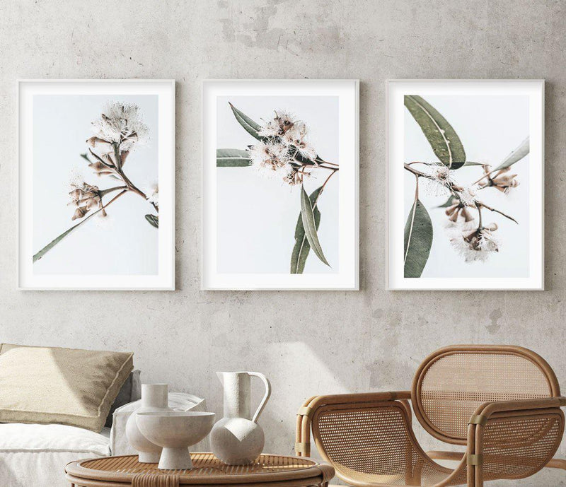 White Eucalyptus III Art Print-PRINT-Olive et Oriel-Olive et Oriel-Buy-Australian-Art-Prints-Online-with-Olive-et-Oriel-Your-Artwork-Specialists-Austrailia-Decorate-With-Coastal-Photo-Wall-Art-Prints-From-Our-Beach-House-Artwork-Collection-Fine-Poster-and-Framed-Artwork