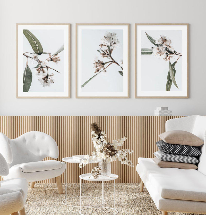 White Eucalyptus III Art Print-PRINT-Olive et Oriel-Olive et Oriel-Buy-Australian-Art-Prints-Online-with-Olive-et-Oriel-Your-Artwork-Specialists-Austrailia-Decorate-With-Coastal-Photo-Wall-Art-Prints-From-Our-Beach-House-Artwork-Collection-Fine-Poster-and-Framed-Artwork